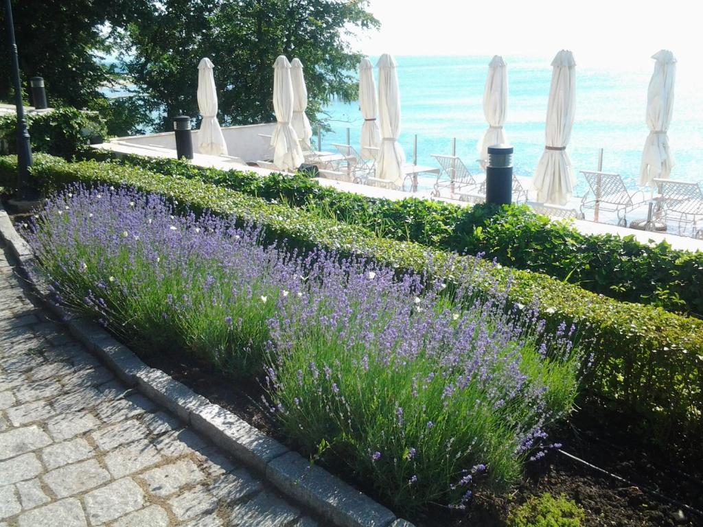 Hvd Boutique Hotel Oasis - Private Beach & Free Parking Golden Sands Bagian luar foto